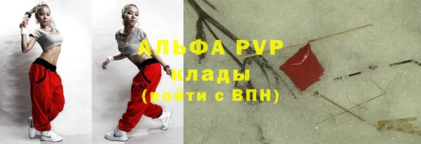 стаф Иннополис