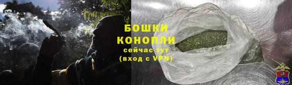 стаф Иннополис